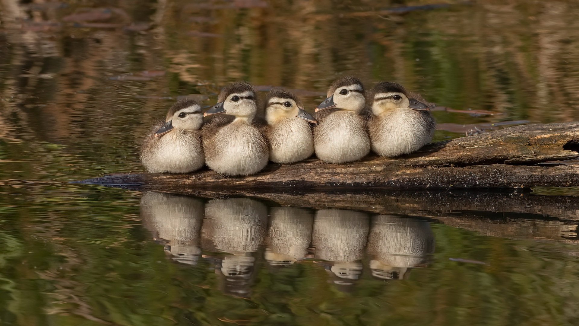 AIYOUXI.COM-“智能化场馆让未来比赛更具沉浸感——虚拟现实、增强现实技术引发行业新风潮”