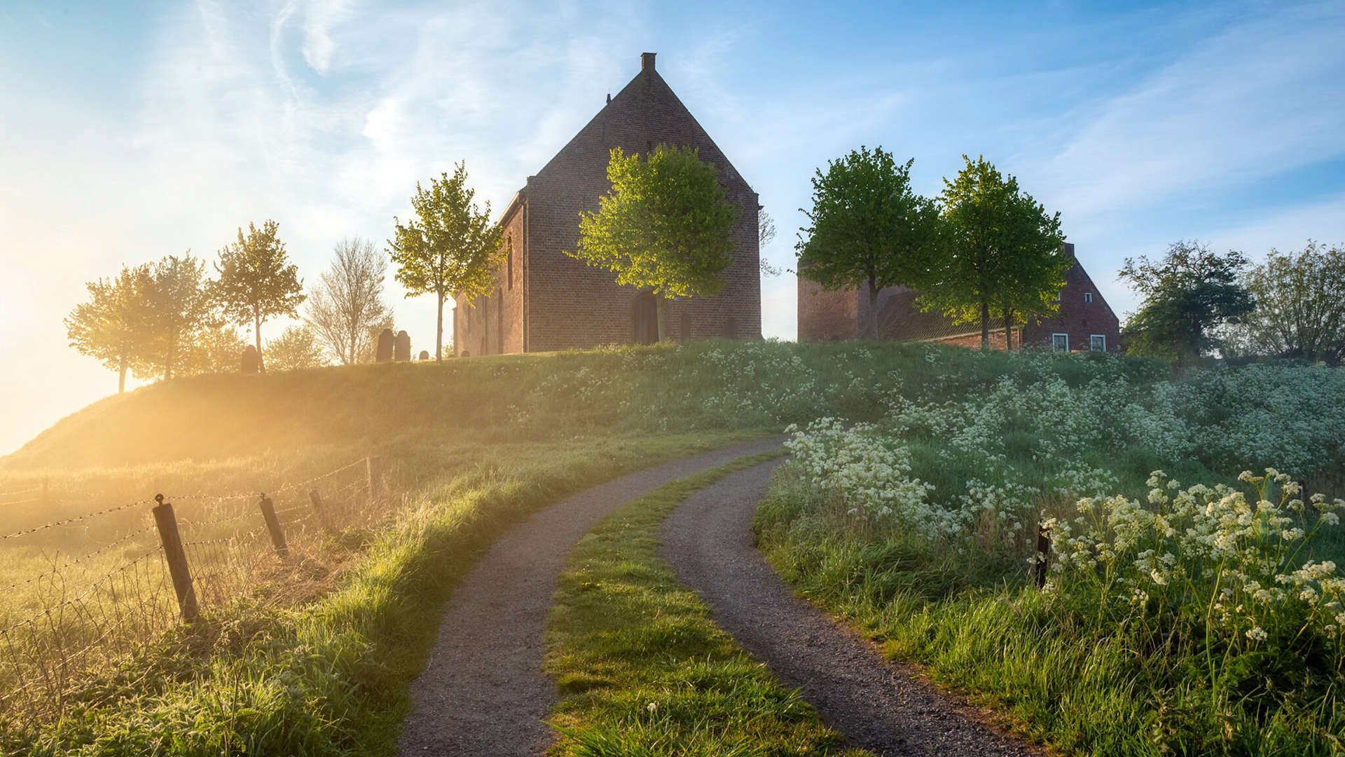 “青春飞扬”青少年篮球精彩表演在武汉震撼上演，彰显青春风采