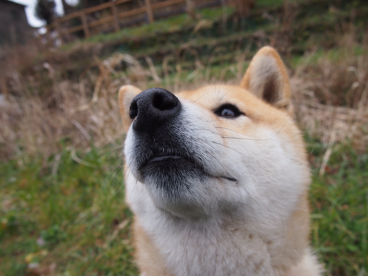 《虚拟偶像造未来：电竞与虚拟明星的跨界合作》，虚拟偶像又叫什么