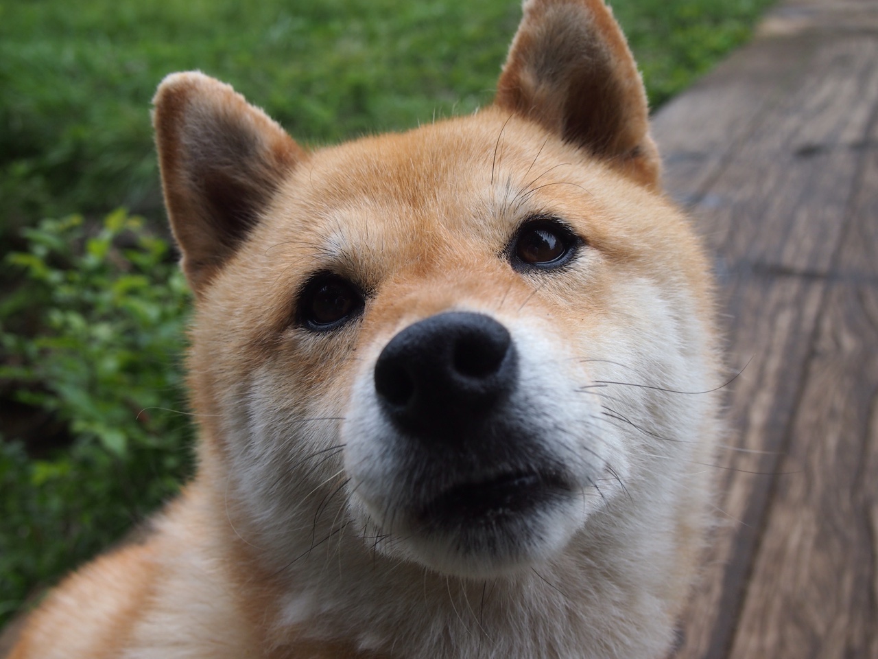 爱游戏娱乐网址-火箭队年青球员迎来大爆发，球队士气振奋，火箭队球队人员名单