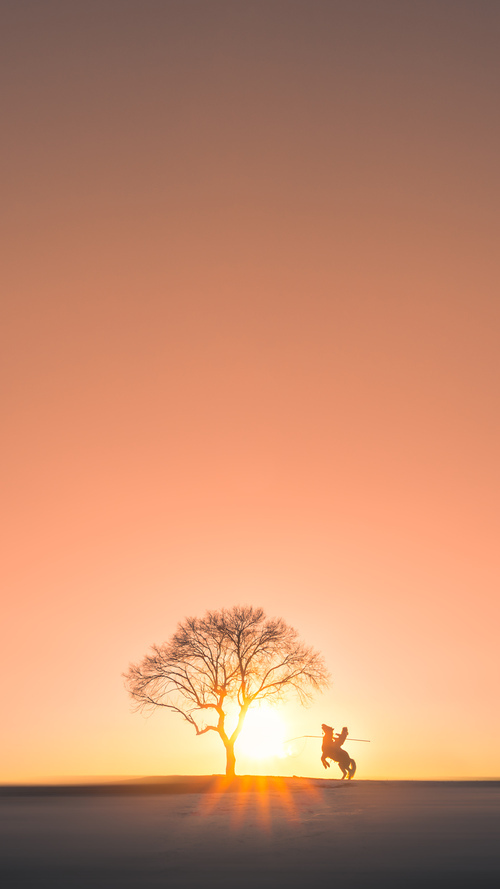 爱游戏中国官方网站平台-逆境突围：伤兵满营的球队如何奋力冲击季后赛？，《逆境突袭》