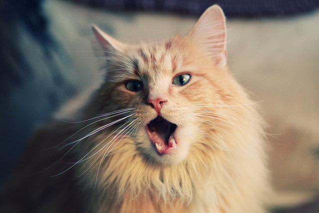 爱游戏-青训“科技+产业”创新链深度贯通，行业高速发展进入新阶段，青训营百度百科