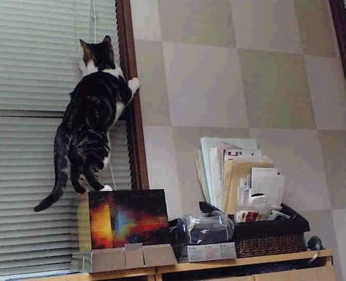 爱游戏官网-Aster新人多面手表现亮眼，aster手表怎么样