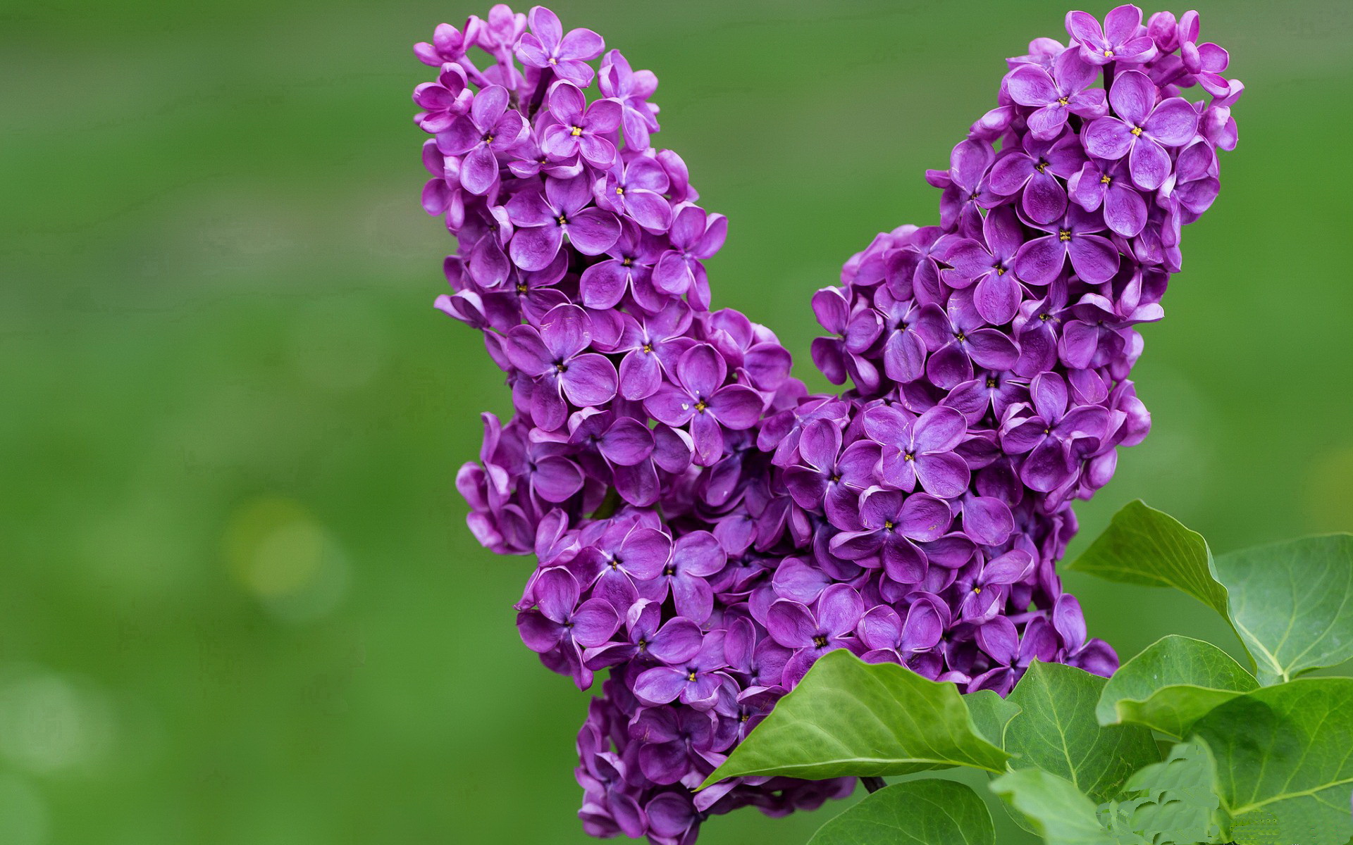 爱游戏体育官方网站-中巡赛与腾讯战略合作，推动赛事数字化转型，中巡赛官网直播