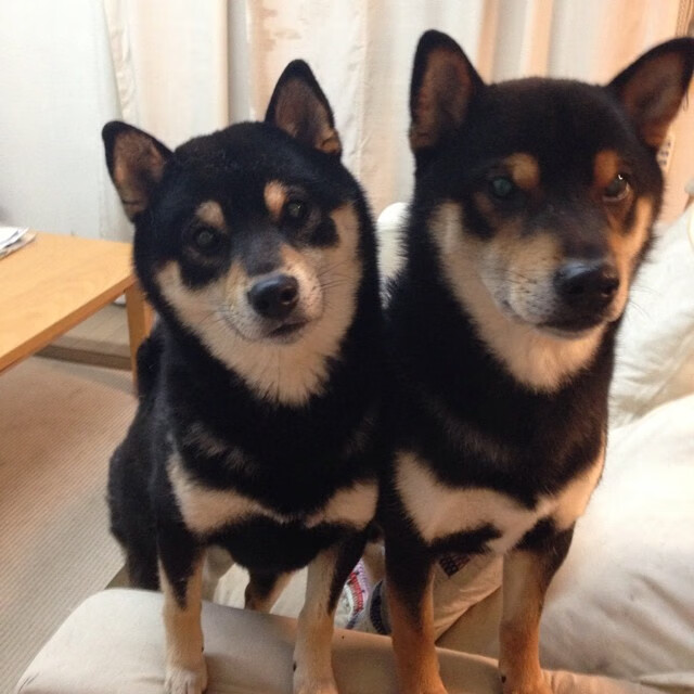 AYX体育-公牛队支持本地电竞产业发展，公牛队在哪儿