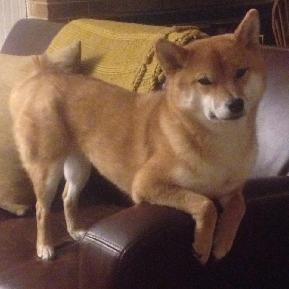 爱游戏电竞官网-曼城对阵西汉姆，拉波特是否能抵挡对手的攻势？，曼城vs西汉姆