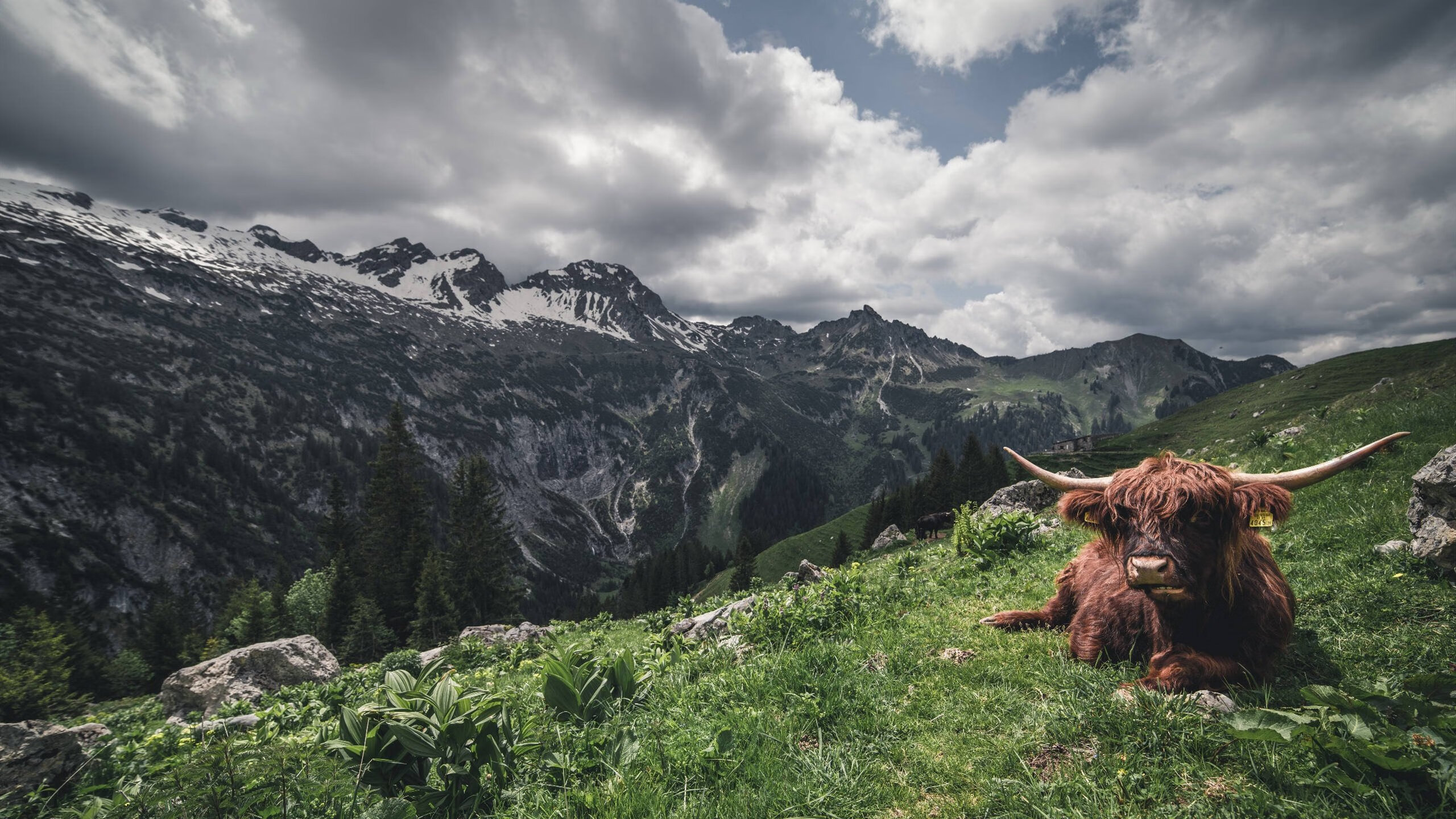 爱游戏娱乐网址-曼联2-0西汉姆，主场取胜，曼联2-1险胜西汉姆