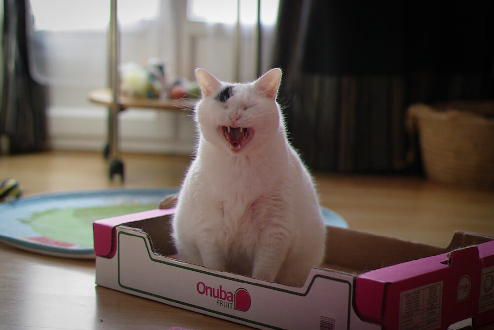 爱游戏-是否应推动球员参与青少年抗压教育，是否应推动球员参与青少年抗压教育