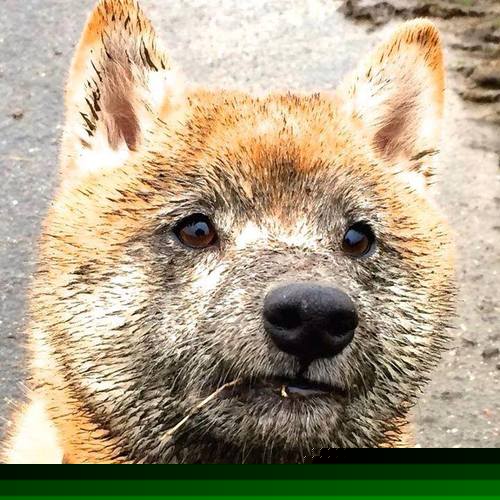 爱游戏电竞官网-苏州东吴将在主场对阵贵州恒丰，谁将是比赛的赢家？，苏州东吴赛程