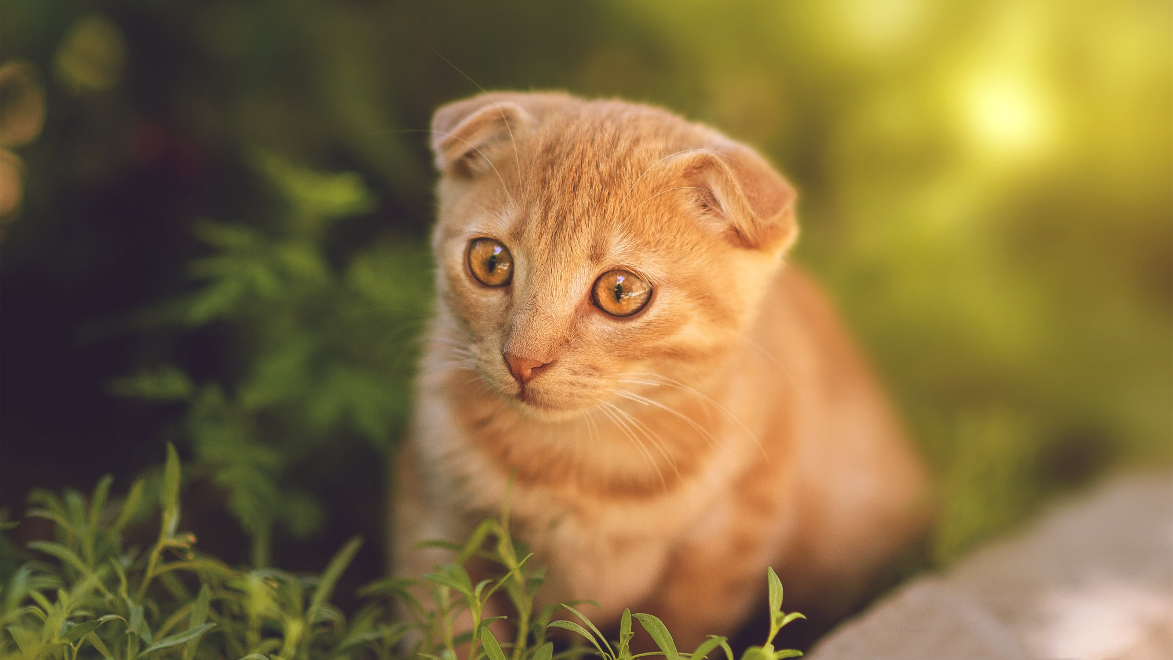 非洲劲旅踏上国际赛场,与亚洲球队对抗,非洲旅游线路