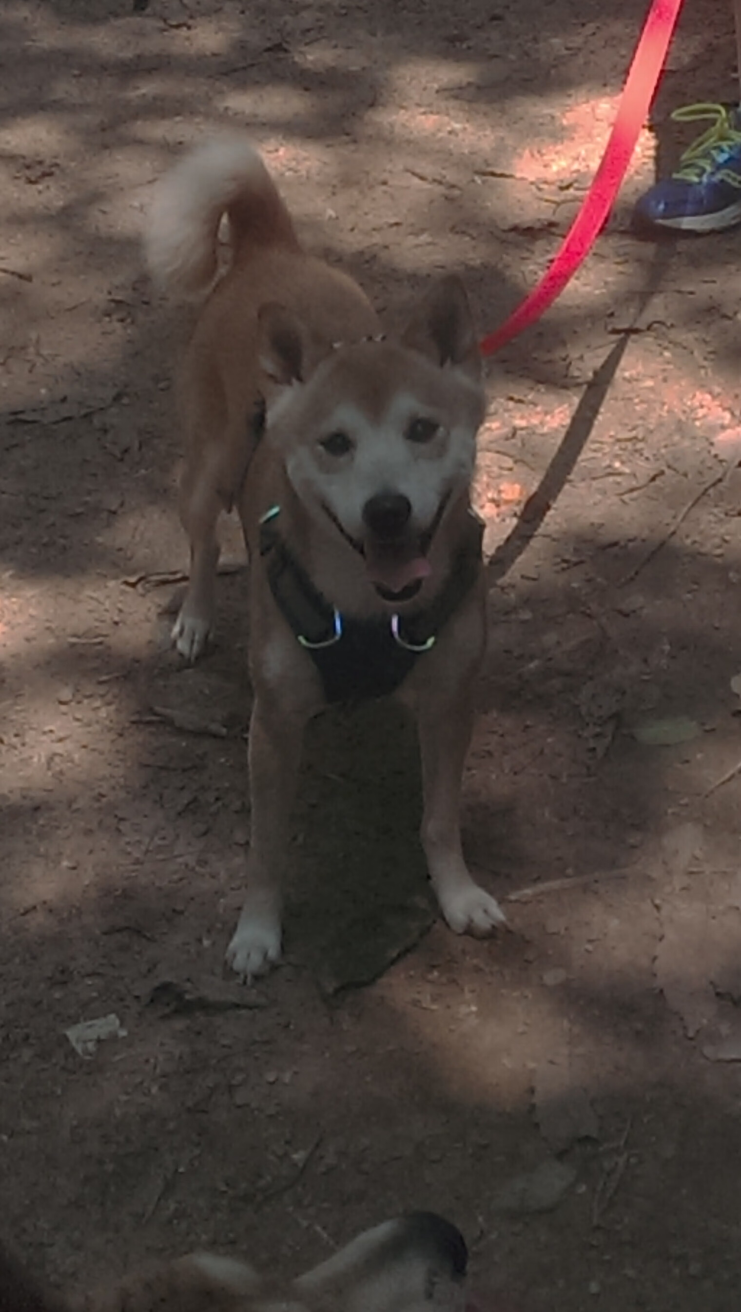 爱游戏娱乐网址-马德里竞技队主场迎战巴塞罗那队，备战西甲，11月22日 足球 马德里竞技vs巴塞罗那 全场集锦