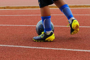 爱游戏综合娱乐-NBA球员训练营最新发展动态，nba球员日常训练项目