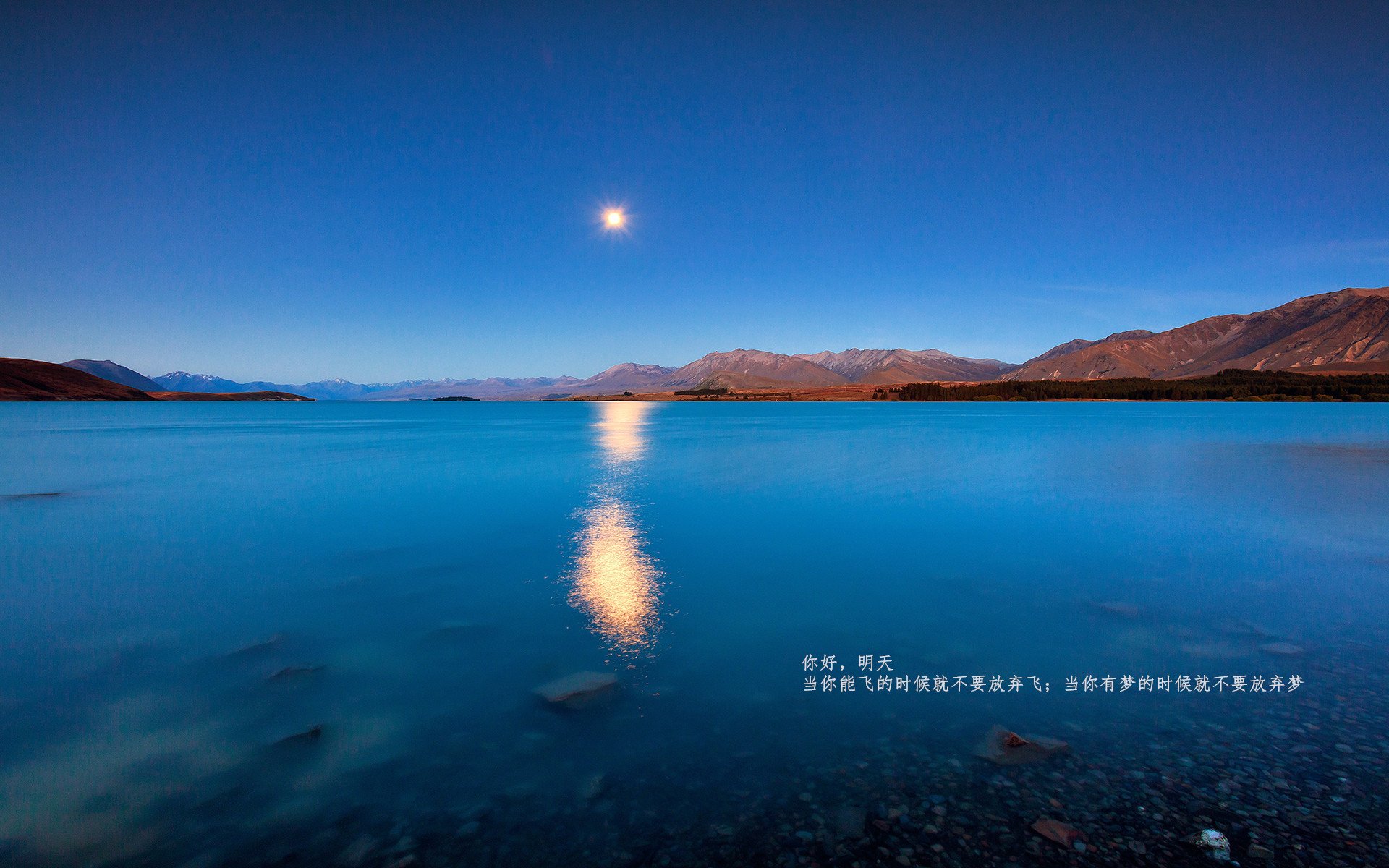 德甲球队利用深度学习模型预测对手阵型变化趋势,德甲解析