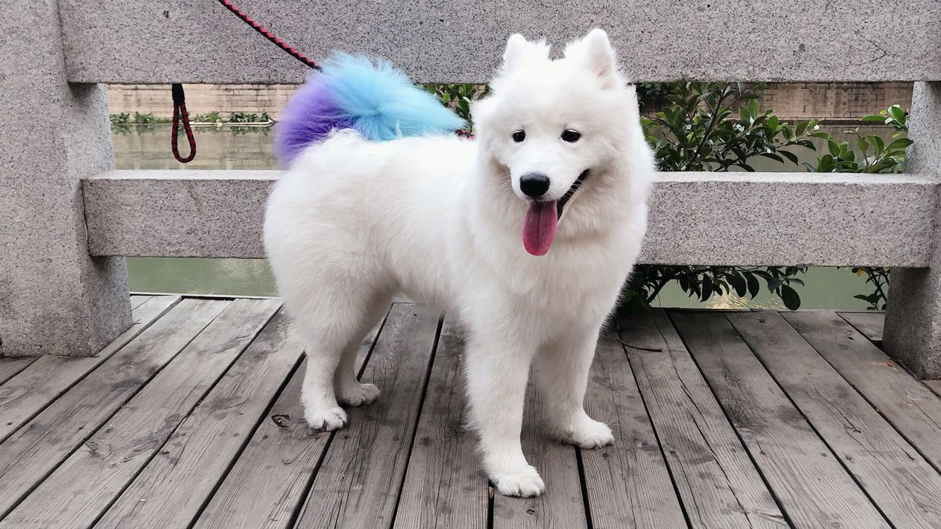 爱游戏娱乐-中国足球联赛俱乐部基础设施建设提速，中国足球 俱乐部