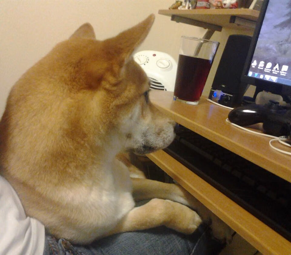 国际篮球联合会确认世界杯赛程并公布主办国,2021年国际篮球世界杯