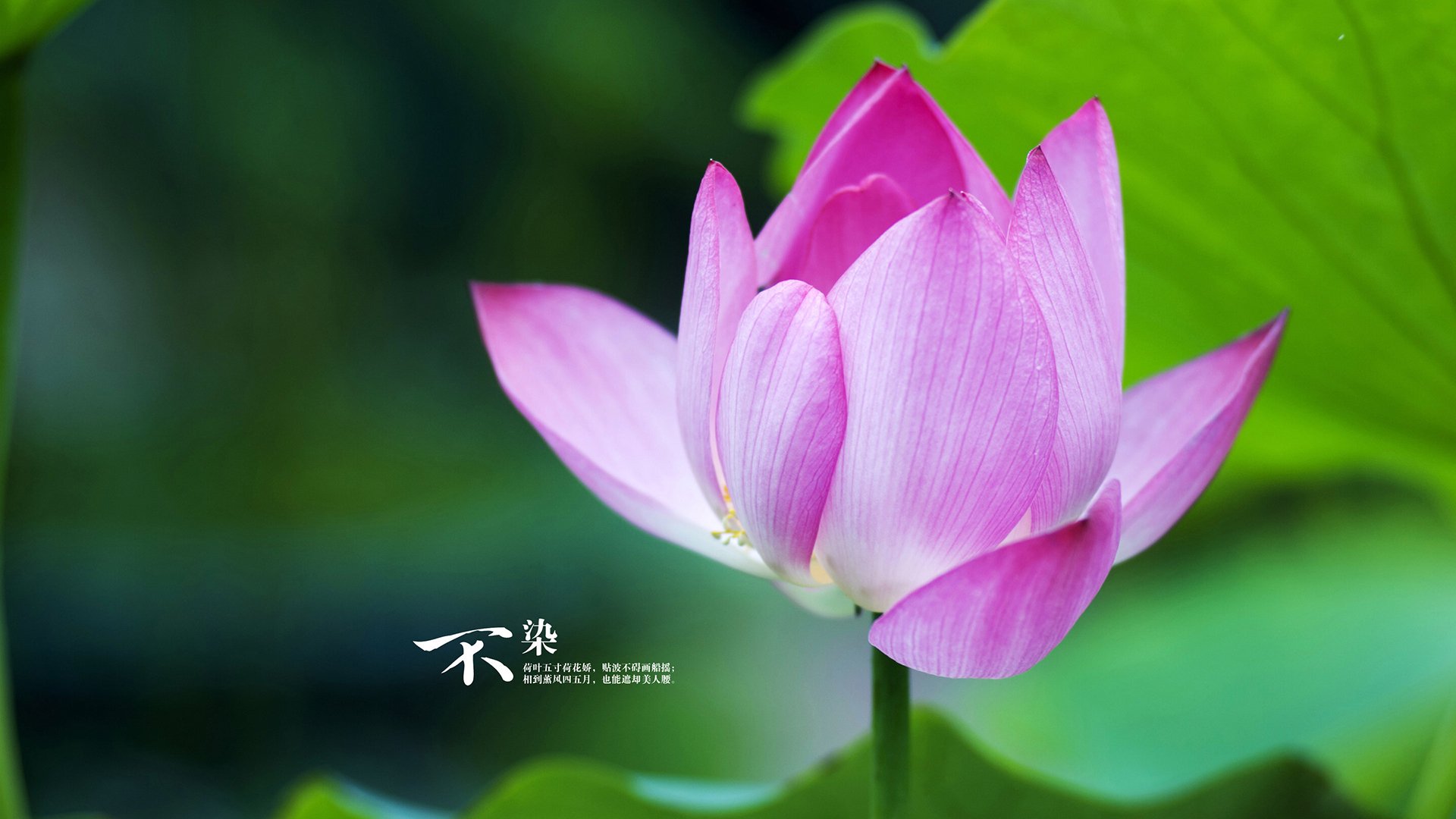 爱游戏平台-绿色节能足球场在沿海城市快速推进，推动绿色低碳目标，绿色节能设施有哪些